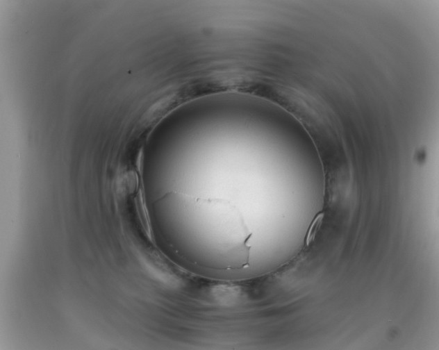 X0000091960279200709061307