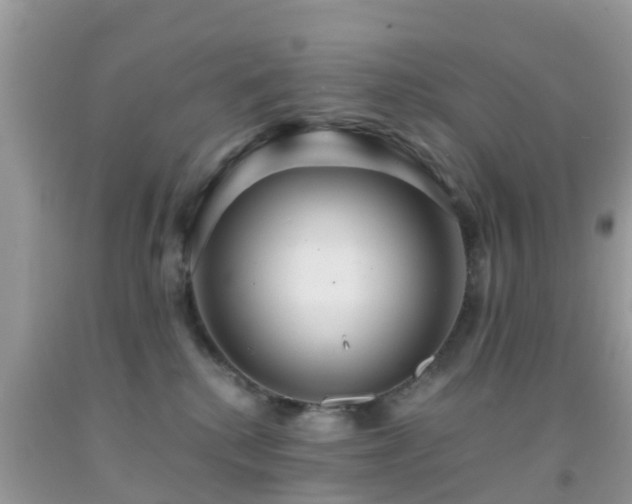 X0000091960280200709061307