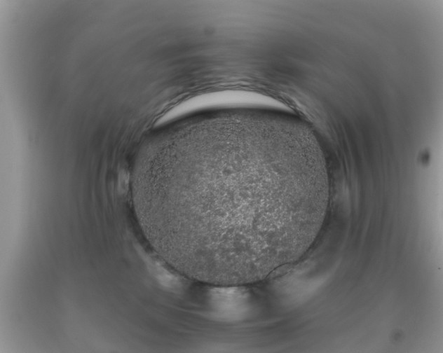 X0000091960281200709061307