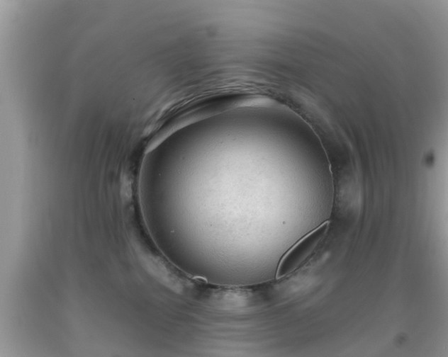 X0000091960282200709061307