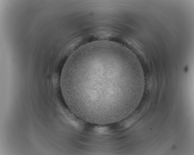 X0000091960283200709061307