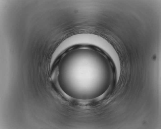 X0000091960284200709061307