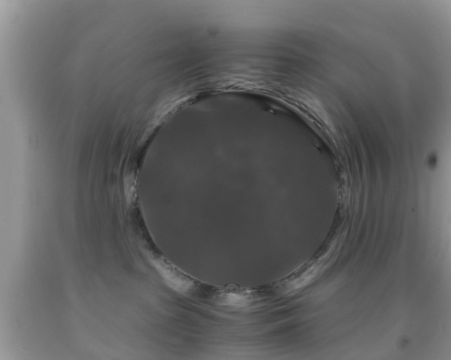 X0000091960285200709061307