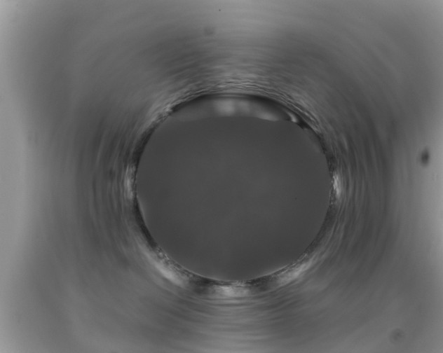 X0000091960286200709061307