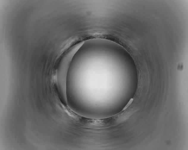 X0000091960288200709061307