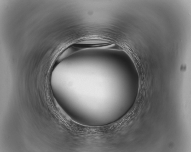 X0000091960289200709061307