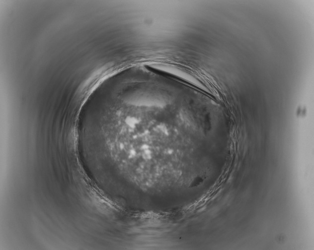 X0000091960290200709061307