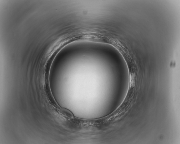 X0000091960291200709061307