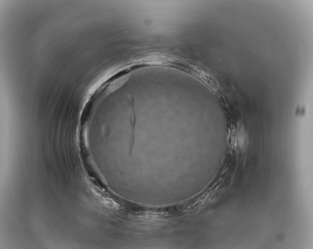 X0000091960292200709061307