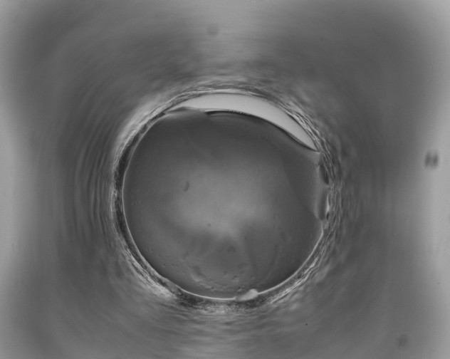 X0000091960293200709061307