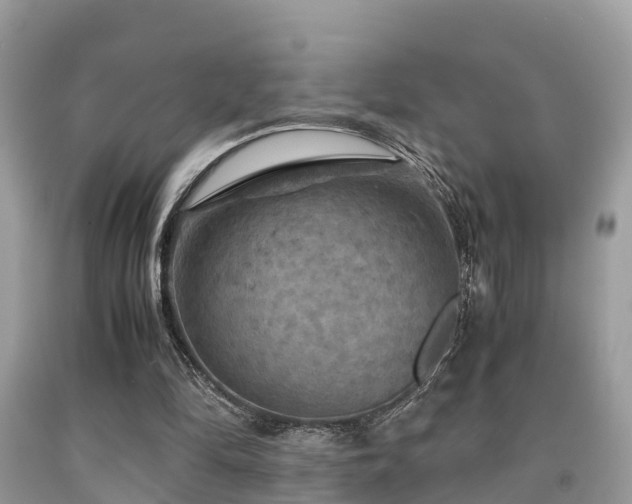 X0000091960294200709061307