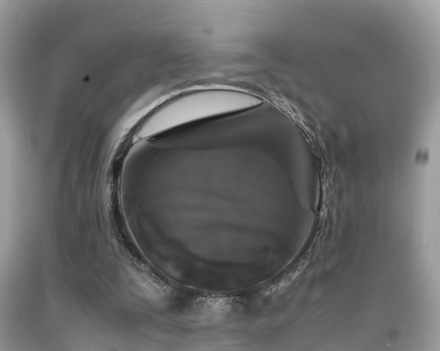 X0000091960295200709061307