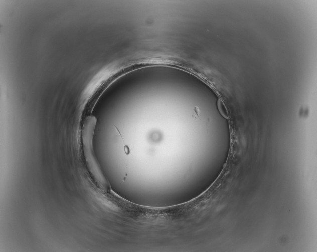 X0000091960296200709061307