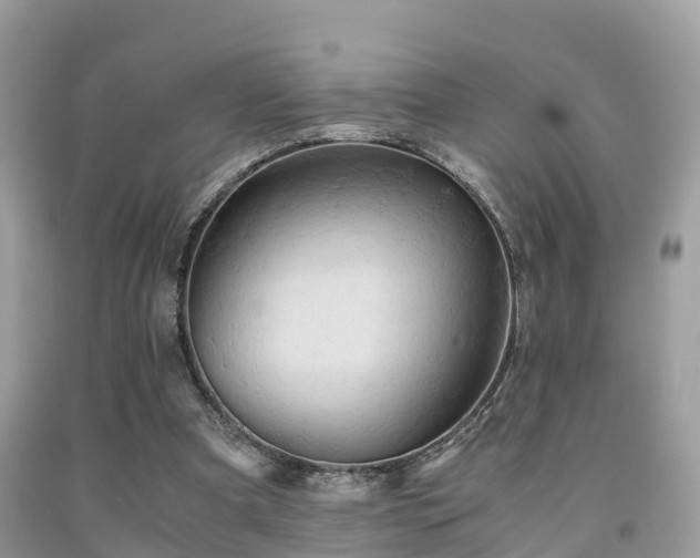 X0000091960297200709061307