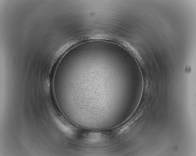 X0000091960298200709061307