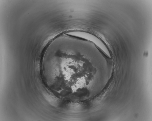 X0000091960299200709061307