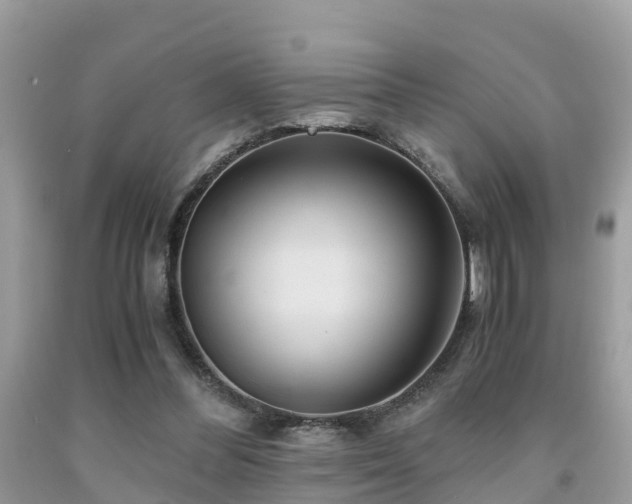 X0000091960300200709061307