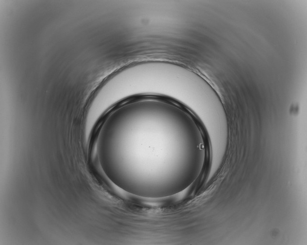 X0000091960301200709061307