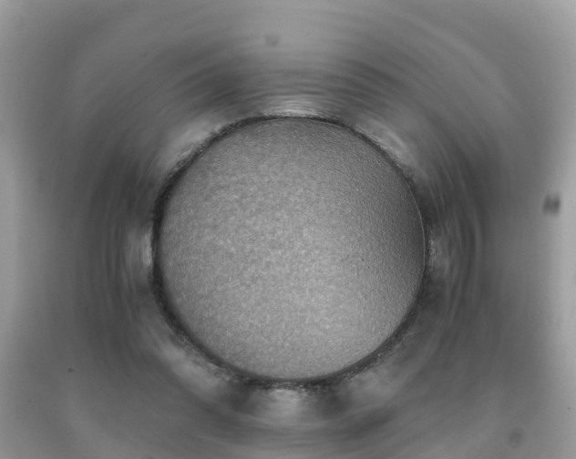 X0000091960302200709061307