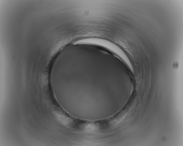 X0000091960303200709061307