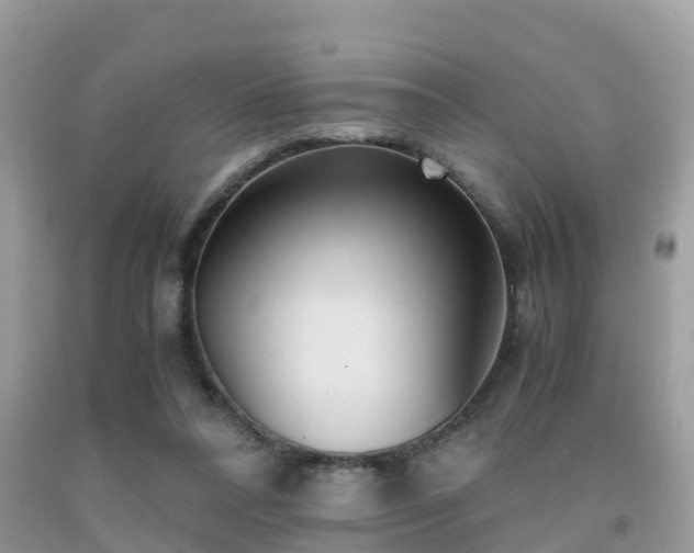 X0000091960304200709061307