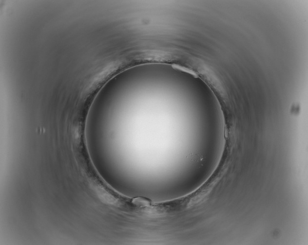 X0000091960305200709061307