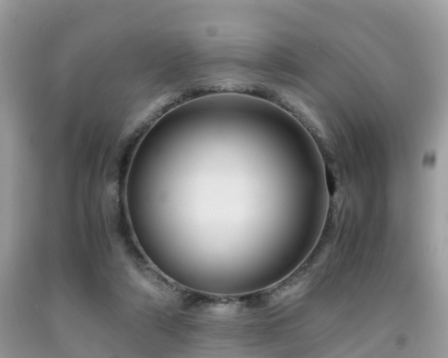 X0000091960306200709061307