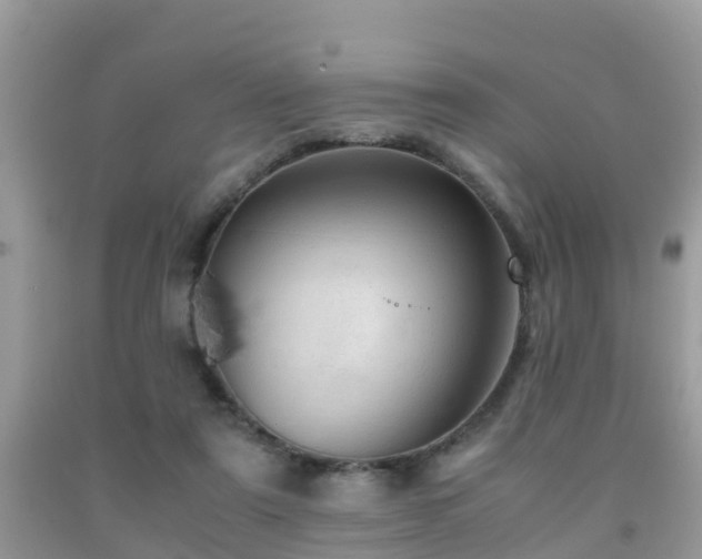 X0000091960307200709061307