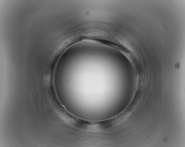 X0000091960309200709061307