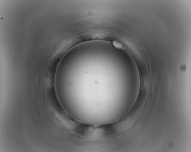 X0000091960311200709061307