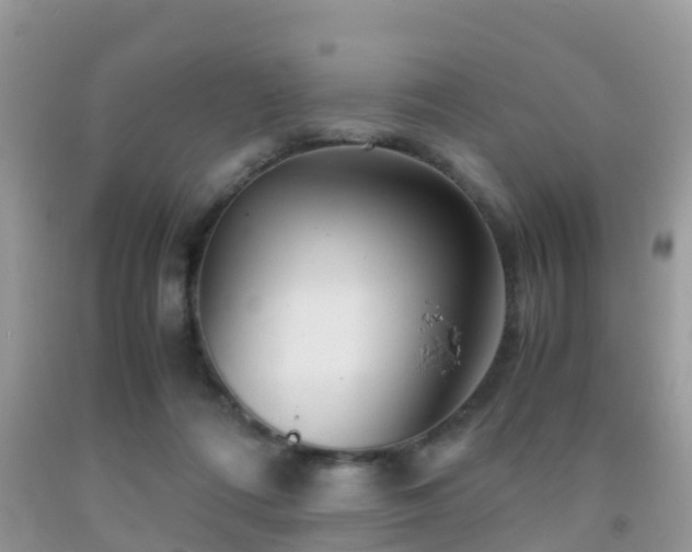 X0000091960312200709061307