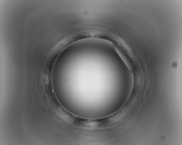 X0000091960313200709061307