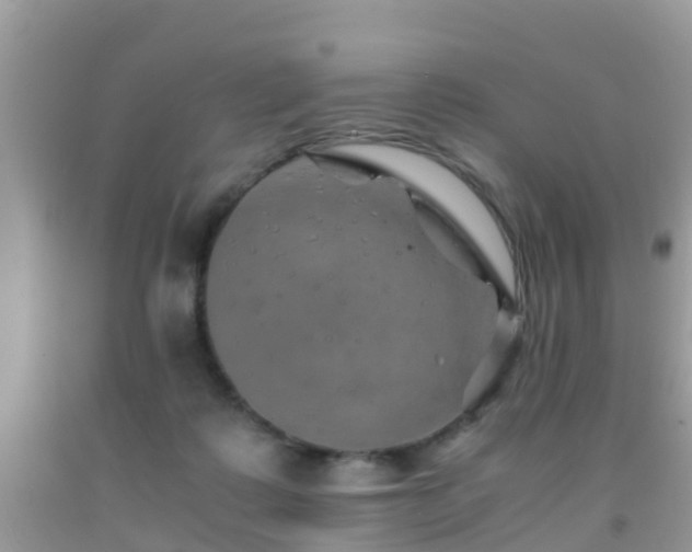 X0000091960315200709061307