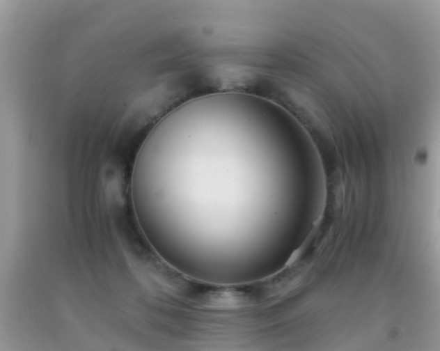 X0000091960316200709061307