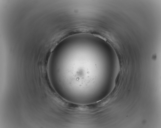 X0000091960317200709061307