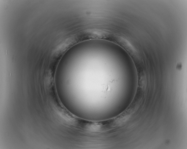 X0000091960318200709061307