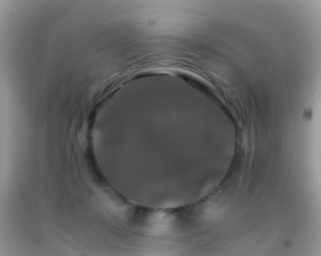 X0000091960319200709061307