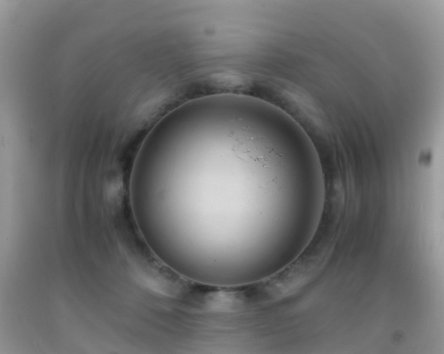 X0000091960320200709061306