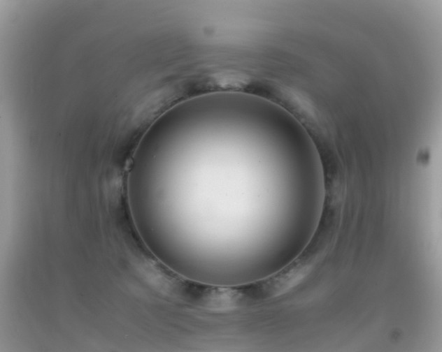 X0000091960321200709061306