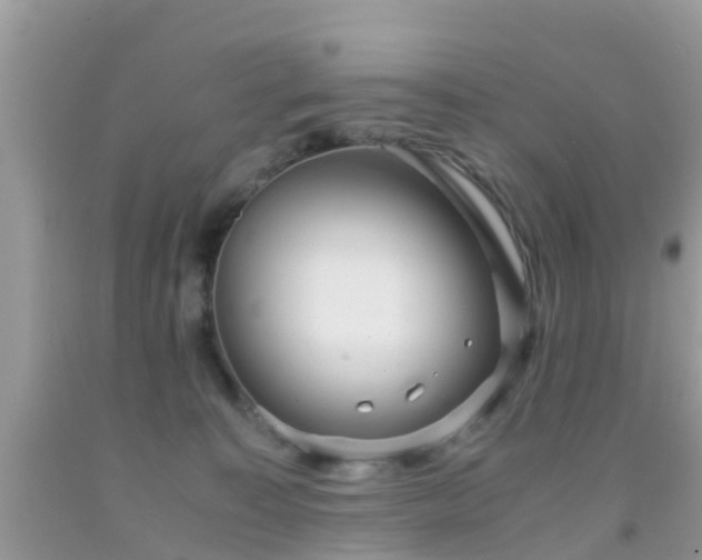 X0000091960323200709061306