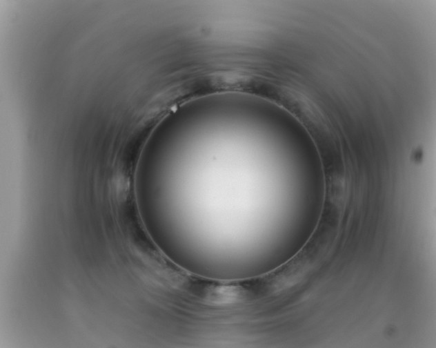 X0000091960324200709061306