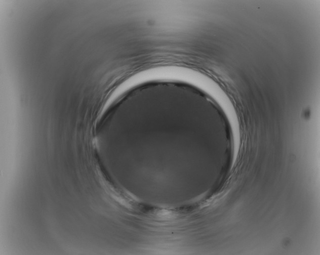 X0000091960325200709061306