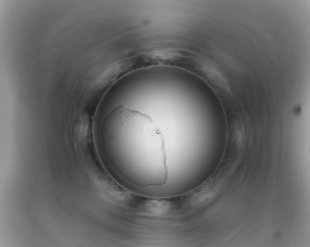 X0000091960328200709061306