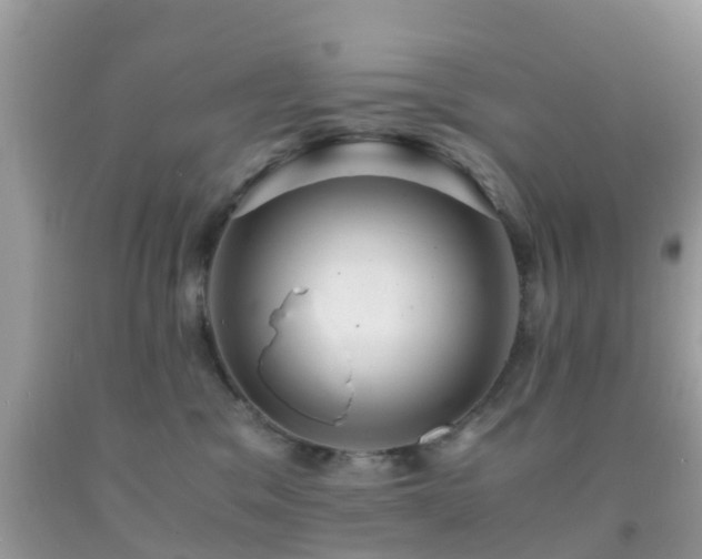 X0000091960329200709061306