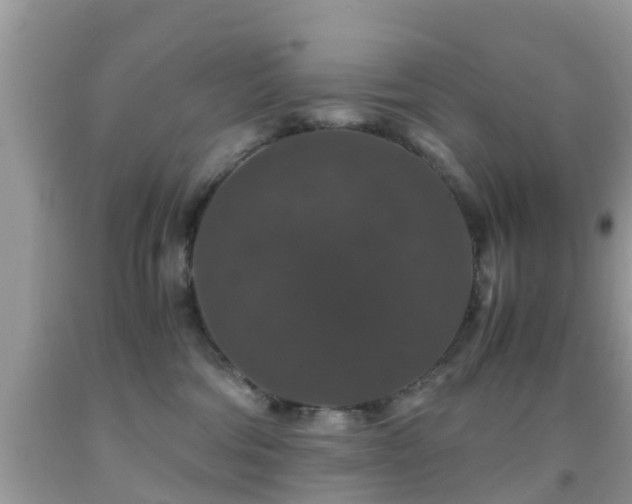 X0000091960330200709061306