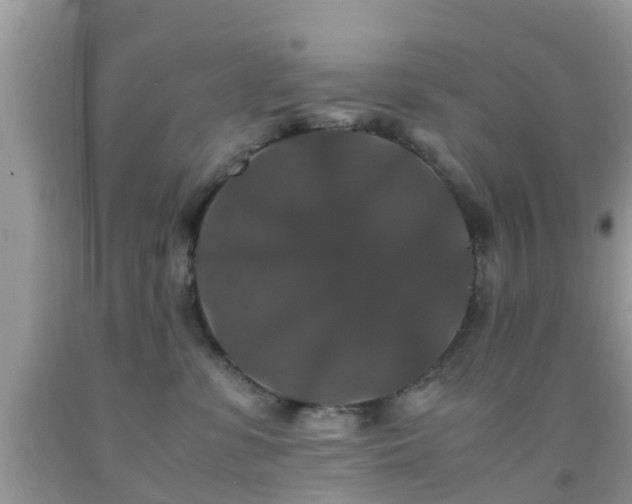 X0000091960331200709061306