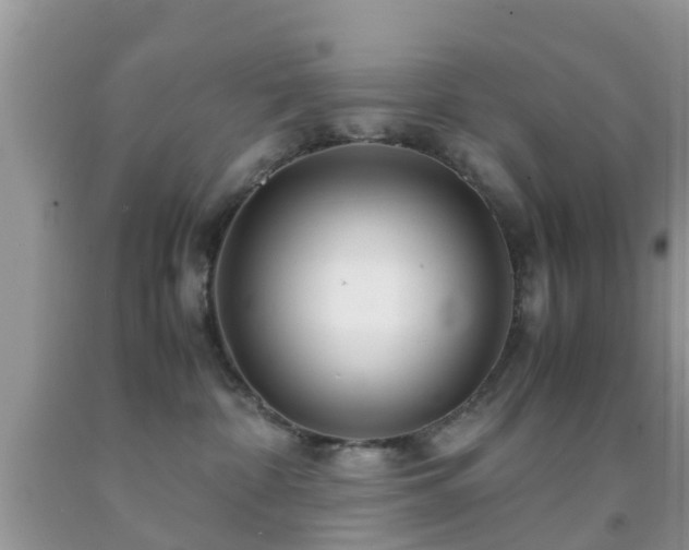 X0000091960332200709061306