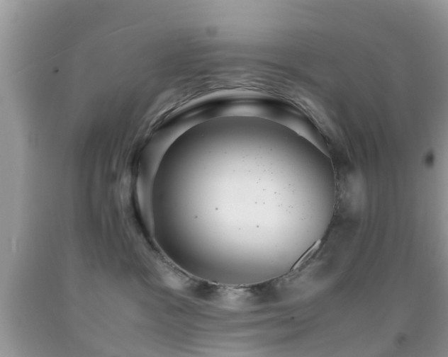 X0000091960333200709061306