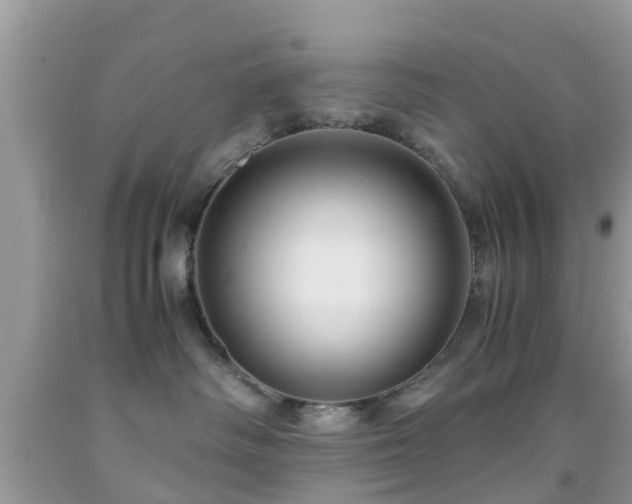 X0000091960334200709061306