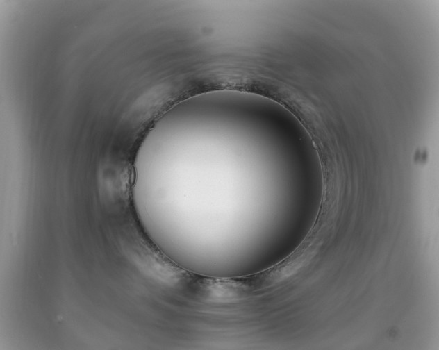 X0000091960336200709061306